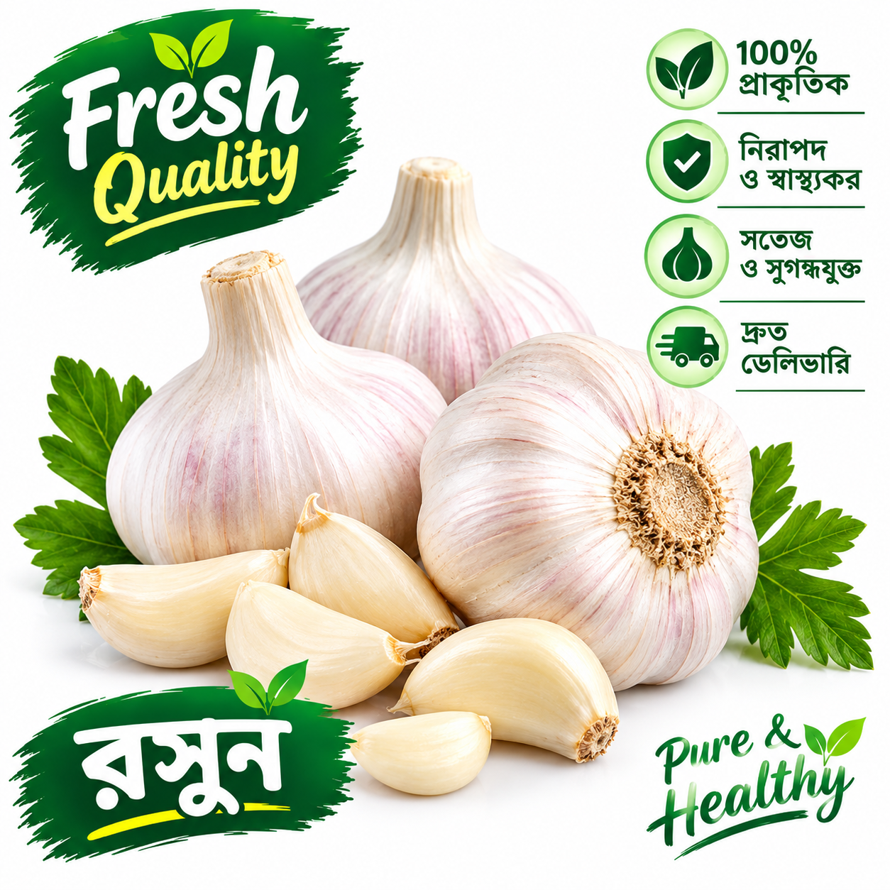 Garlic